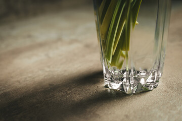 Green stems of flowers in a transparent glass with fresh water. Bouquet care. High quality photo