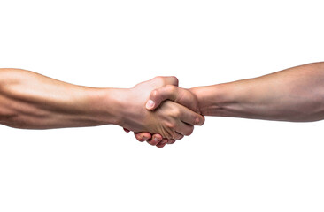 Friendly handshake, friends greeting, teamwork, friendship. Close-up. Rescue, helping gesture or hands. Strong hold. Two hands, helping hand of a friend. Handshake, arms friendship - obrazy, fototapety, plakaty