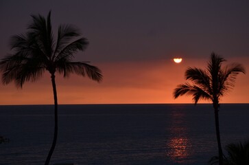 Naklejka na ściany i meble Sonnenuntergang am Meer mit Palmen
