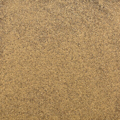 Photo of closeup texture of hot spice of black pepper for different food, background
