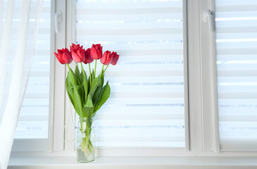 Window roller system day and night, fabric roller blinds.
