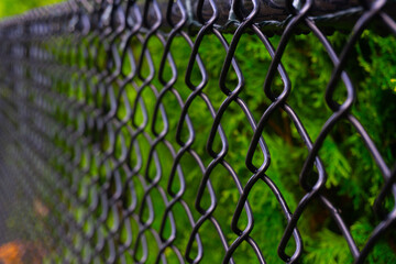 A black chain link fence photographed from a creative perspective to give the image depth.