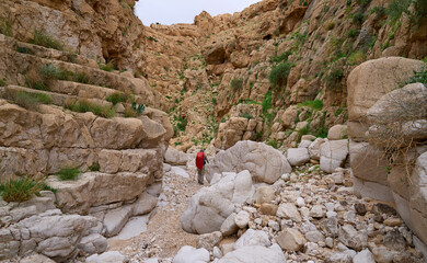 Male hiker on a hiking trail inside a dry wadi Makuch in Judaean Desert near Jericho. Impressive...