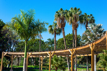 Fototapeta premium Wooden pergola and palm trees with blue sky in a park in Tenerife. Canary Islands.