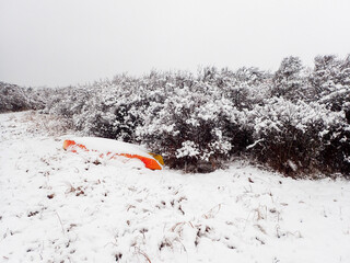 Winter Storm on Martha's Vineyard
