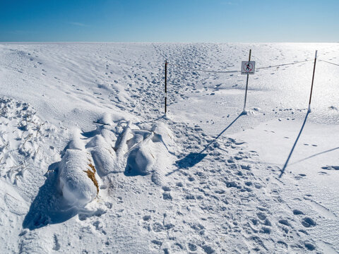 Winter Storm On Martha's Vineyard