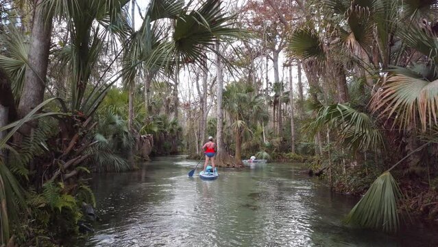 A stand up paddle boarder navigates Rocks Springs Run in Florida