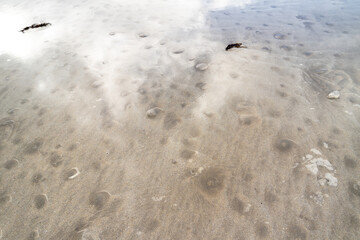 Bubbles in the sand showing that the tide is coming in
