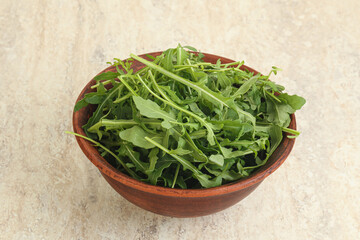 Fresh green arugula in the bowl