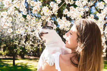 Horizontal cropped view of unrecognizable woman with french bulldog at park with almond trees outdoors. Rear horizontal view of woman hugging her dog in springtime. Animals and people lifestyle.