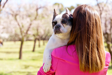 Rear view of woman hugging her dog in springtime. Horizontal cropped detail view of unrecognizable...