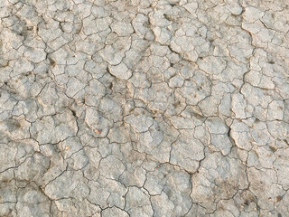 Dry cracked earth. Drought. The dried-up bottom of the lake. Abstract yellow background. Copy space