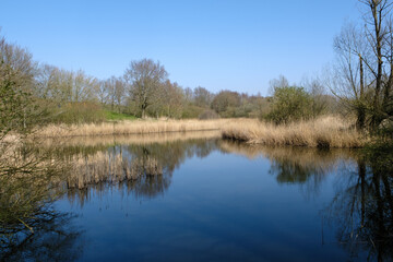 Fototapeta na wymiar Small lake in Lelystad Nature Park