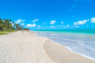 Fototapeta na wymiar Wide view of Barra Grande beach, Maragogi - AL, Brazil. Famous beach, beautiful coastal destination of Alagoas state.