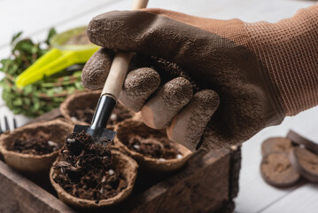 Soil on the small spade in the gardener hand close up.
