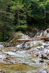 Kleiner Gebirgsbach im Bergwald, Vorderer Schwarzachen