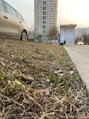 car on the road