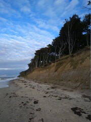 Steilk&uuml;ste mit altem Wald