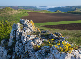 Amazing spring view on the Dnister River Canyon with picturesque rocks, fields, flowers. This place named Shyshkovi Gorby,  Nahoriany, Chernivtsi region, Ukraine.