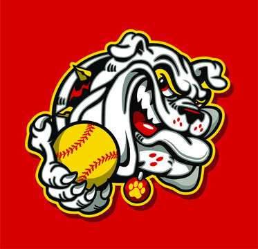 cartoon bulldog mascot holding baseball for school, college or league