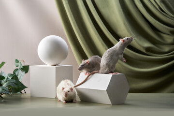 decorative rats in art. plaster figures, drapery, painting photo