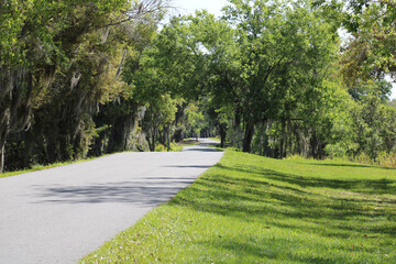 Early Spring Walk in the Park