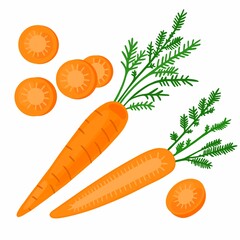 Vector set with carrots. Whole, half and pieces of carrots with tops on a white background.