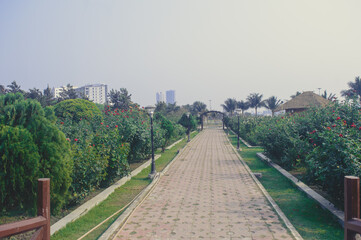 Landscape Brick lane amidst garden in a public park.