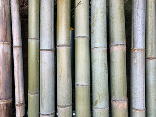 日本庭園　竹の壁　web素材　テクスチャJapanese garden bamboo wall web material texture