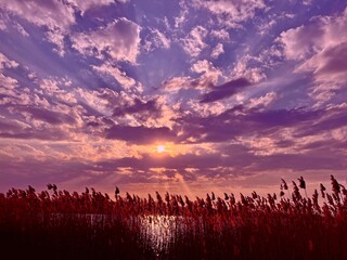 Sunset over field. Fantastic sunset in the sky clouds over lake. Surreal purple orange fiery dusk.