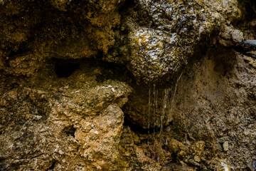 Closeup of mossy rocks and small mountain stream