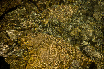 Golden sunlight patterns on riverbed rocks