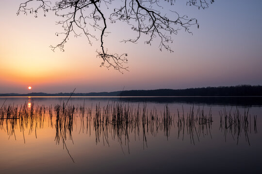 Colorful sunset in spring at Lake Kellersee with reed in foreground, Malente, Eutin, Schleswig-Holstein, Northern Germany