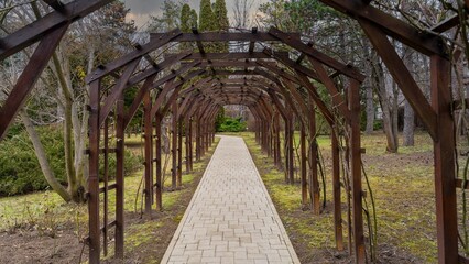 wooden bridge in the park