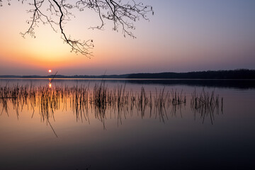 Colorful sunset in spring at Lake Kellersee with reed in foreground, Malente, Eutin, Schleswig-Holstein, Northern Germany