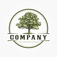 OAK TREE GREEN COLOR VINTAGE LOGO