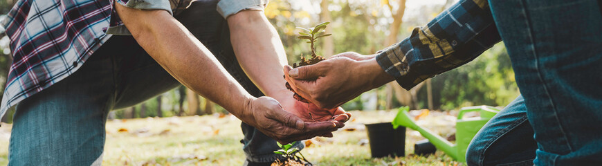 Two men are planting trees and watering them to help increase oxygen in the air and reduce global...