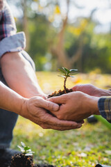 Two men are planting trees and watering them to help increase oxygen in the air and reduce global...