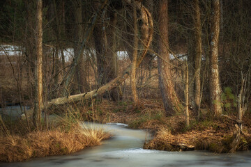 frozen forest stream between the trunks of bare trees and dry grass. picturesque early spring landscape