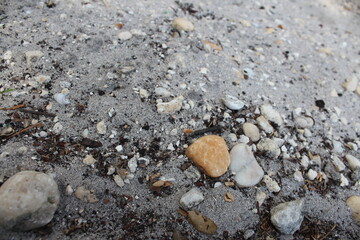 Rocks in the grey sand
