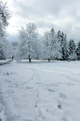 Winter view of South Park in city of Sofia, Bulgaria
