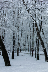 Winter view of South Park in city of Sofia, Bulgaria