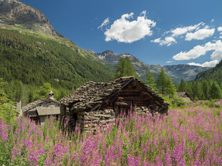 Alpine Val Sissone valley with stone shelter and mountains