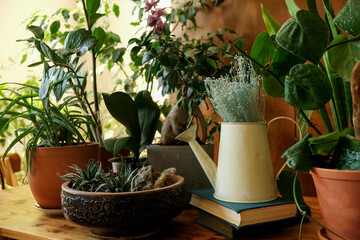 Cozy home decor with houseplants. Spring home decor.