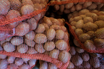 Fototapeta premium Sacks of potatoes. Stock of vegetables for the winter. Wholesales of potatoes. Wholesale market business selling food. Potato harvest.