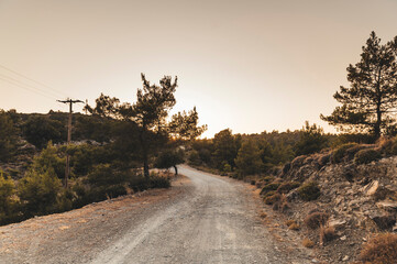 Sand road going through rocks and trees in the countryside of Rhodes, Greece