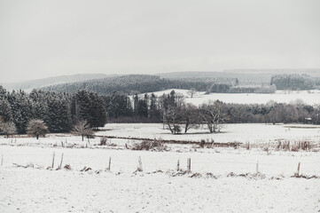 Winter landscape of South Belgium in the region of the Ardennes