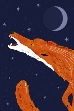Illustration of a fantasy style fox with moon and stars. 