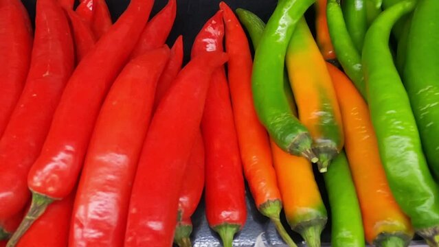 Red and green chilli. Long peppers or mirchi in a super shop.Species or masala ingredient.