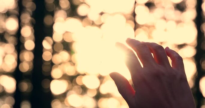 Female hand touching the sun, sunlight passing through fingers, pine forest mountain at sunset, closeup shining sun and the branches of the trees, season travel nature idyllic